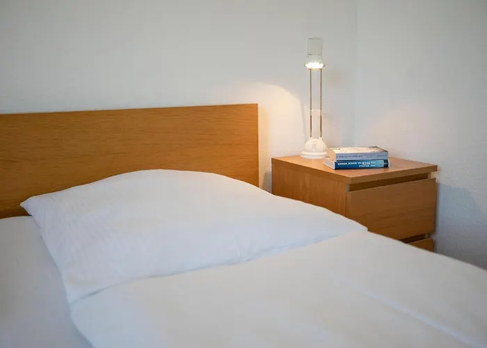 4- Paulsen * 沙博伊茨