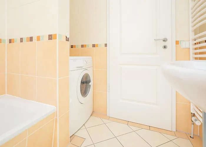 4- Paulsen 沙博伊茨