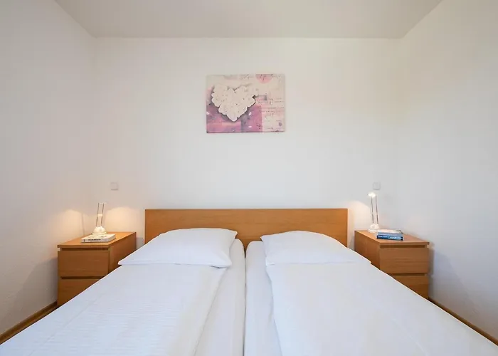 4- Paulsen * 沙博伊茨