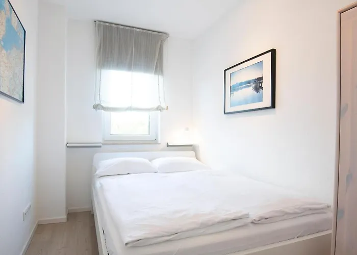 4- Paulsen 沙博伊茨