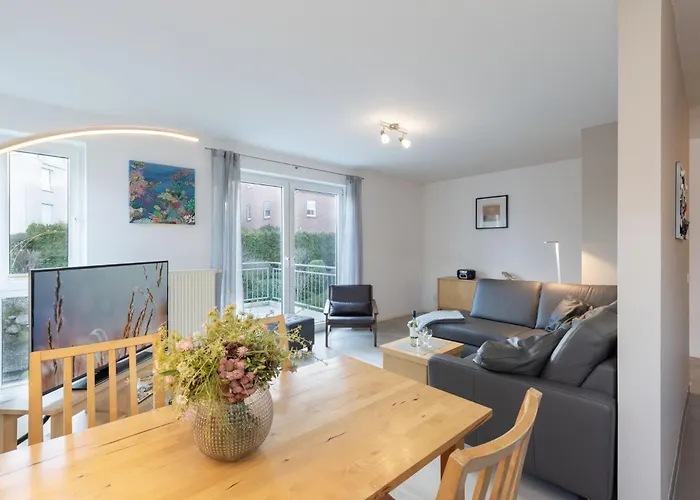 4- Paulsen 沙博伊茨