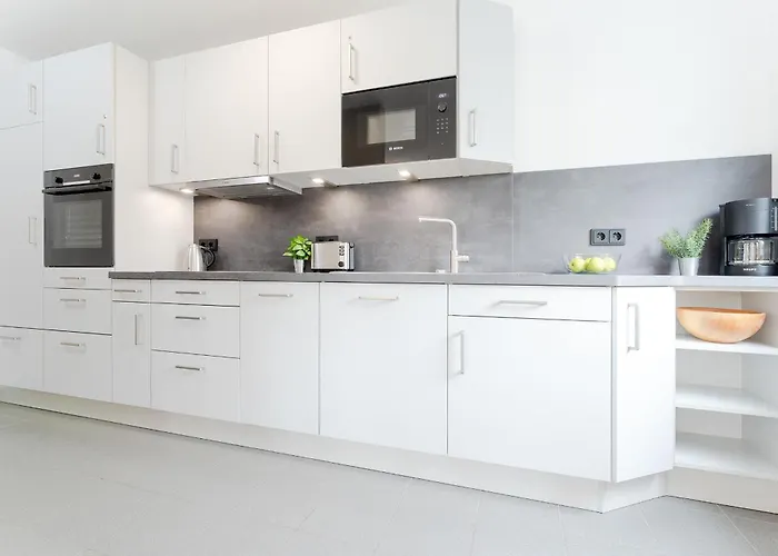 4- Paulsen * 沙博伊茨